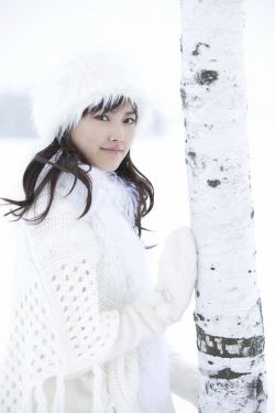 電視劇蝴蝶蘭